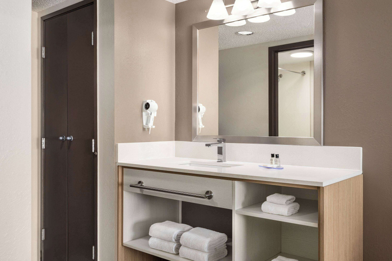 Bathroom 4, Wyndham Garden Duluth, Gwinnett