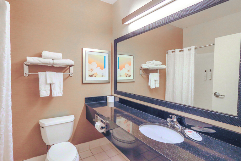 Bathroom 5, Comfort Inn & Suites Houston North - Spring, Houston