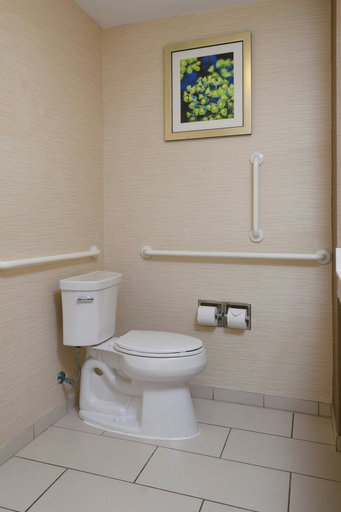 Bathroom 3, Fairfield Inn & Suites by Marriott Richmond Ashland, Hanover