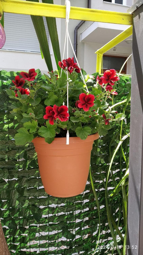 Others 5, B&B Home Sweet Home, Imperia