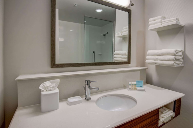 Bathroom 5, Hampton Inn by Hilton Plant City, Hillsborough