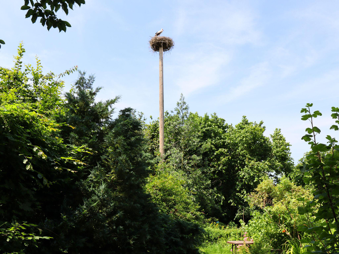 Others 4, Ferienwohnung Parkblick mit 3 Schlafzimmern, Vorpommern-Rügen