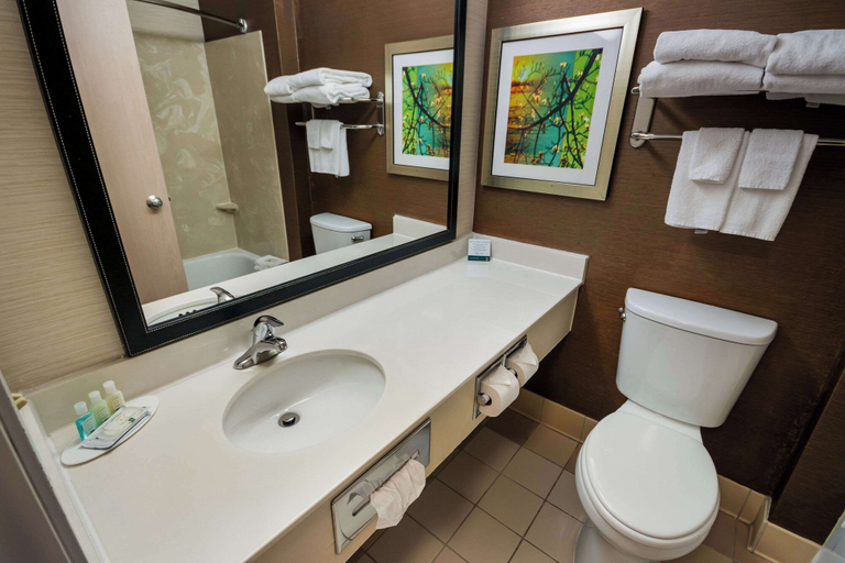 Bathroom 5, Quality Inn & Suites Bozeman, Gallatin