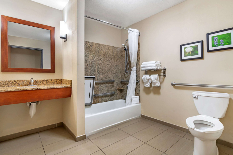 Bathroom 3, Comfort Suites Manhattan, Pottawatomie