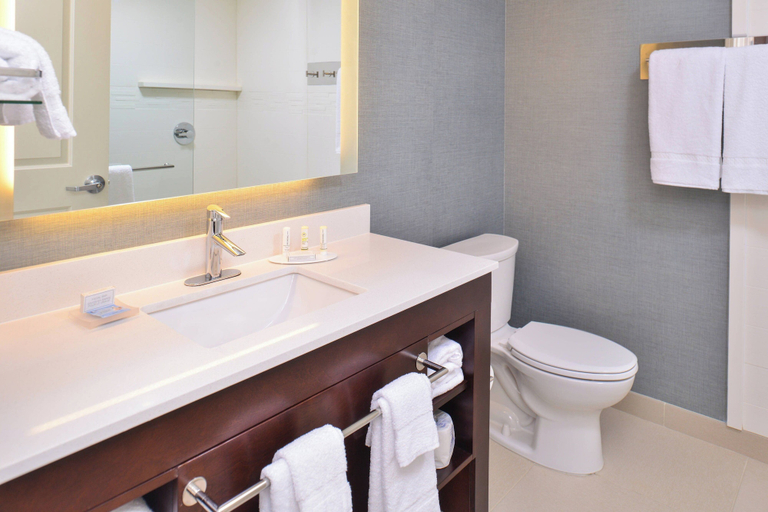 Bathroom 5, Residence Inn Cedar Rapids South, Linn