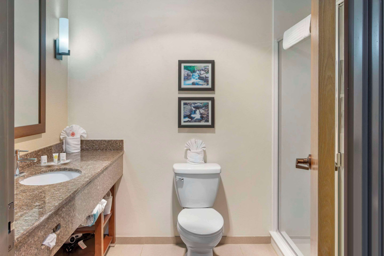 Bathroom 4, Comfort Suites Ogden Conference Center, Weber