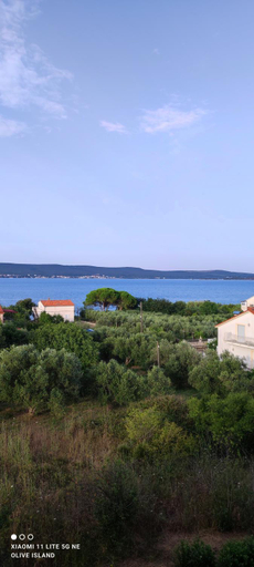 Others 2, Villa Olive Island, Pašman