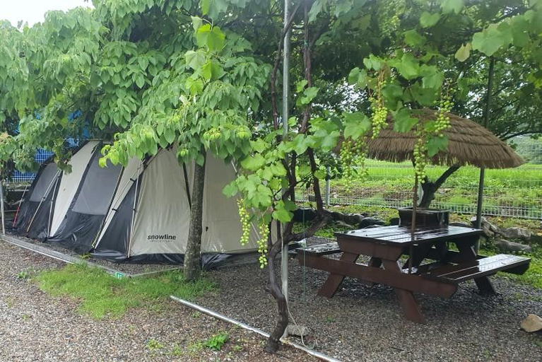 Exterior & Views 2, Yangyang Camping Site Pension, Yangyang