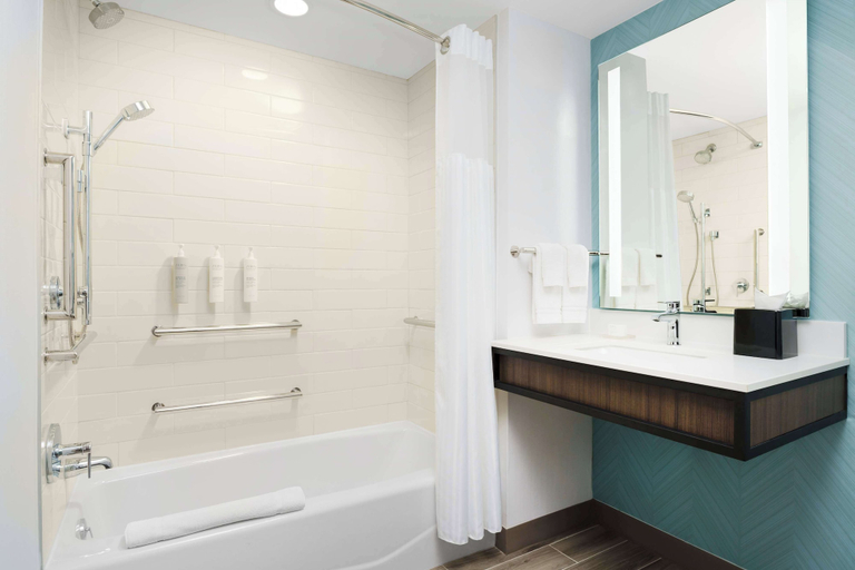 Bathroom 4, Hilton Garden Inn Lake Mary, Seminole