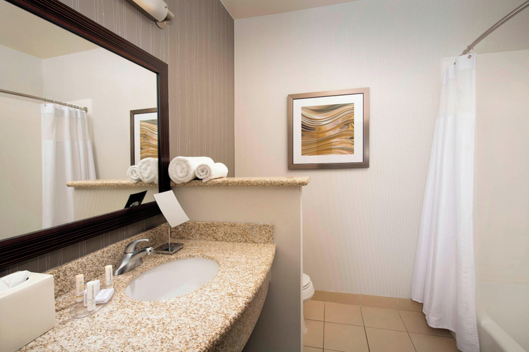 Bathroom 5, Courtyard by Marriott Tyler, Smith