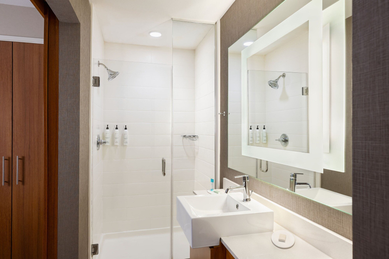 Bathroom 3, SpringHill Suites Wisconsin Dells, Sauk