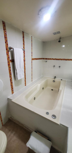 Bathroom 3, Hotel Popayan Plaza, Popayán