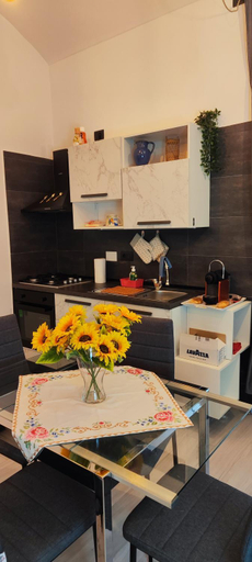 5, Musine House, Torino