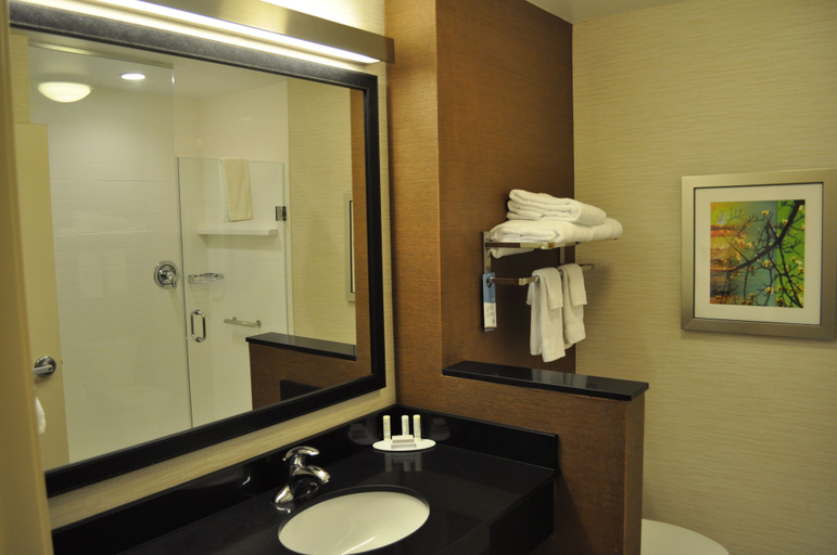 Bathroom 5, Fairfield Inn & Suites Stroudsburg Bartonsville / Poconos, Monroe