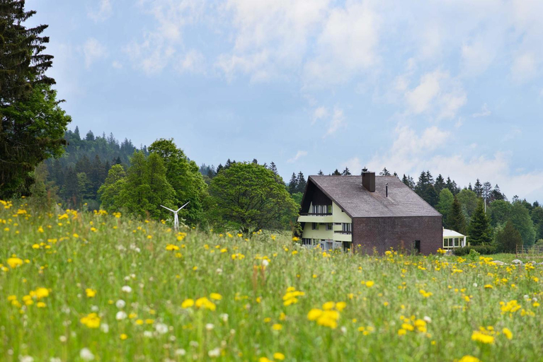 Others 5, B&B Mont-Crosin, Courtelary