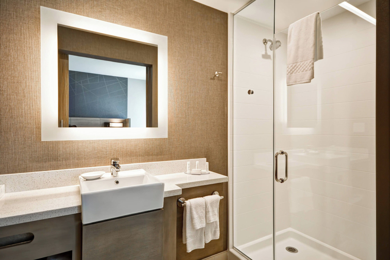 Bathroom 3, SpringHill Suites by Marriott Cincinnati Blue Ash, Hamilton