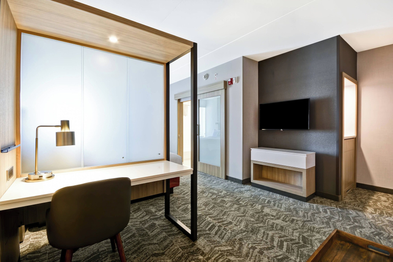Others 5, SpringHill Suites by Marriott Cincinnati Blue Ash, Hamilton