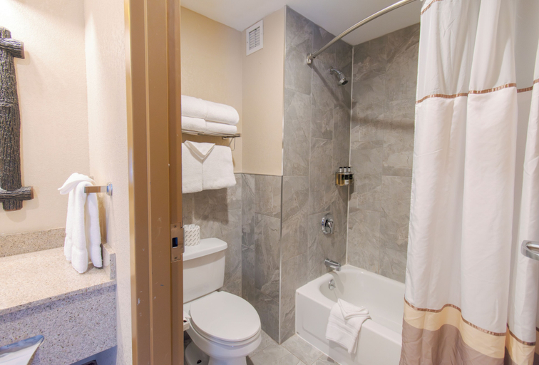 Bathroom 4, Great Escape Lodge & Indoor Waterpark, Warren