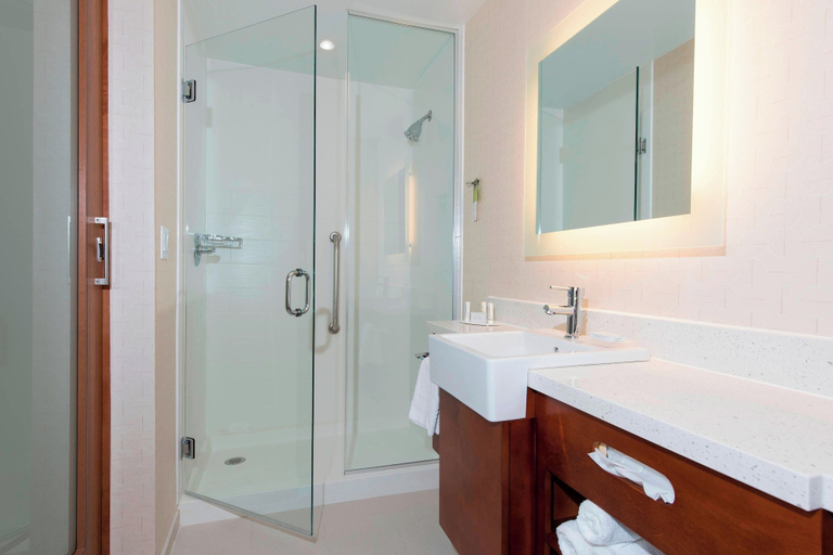 Bathroom 5, Springhill Suites Houston Sugar Land, Fort Bend