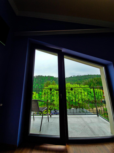 Others 4, Hotel Tsemi Plaza, Borjomi