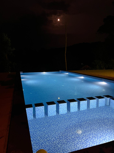 Sport & Beauty 2, Green Garden Home Stay Wayanad, Wayanad