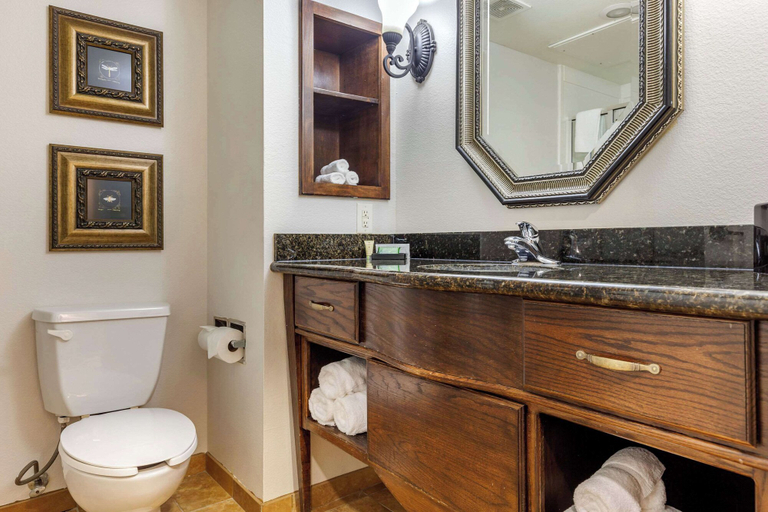 Bathroom 4, Clarion Pointe Sulphur Springs, Hopkins