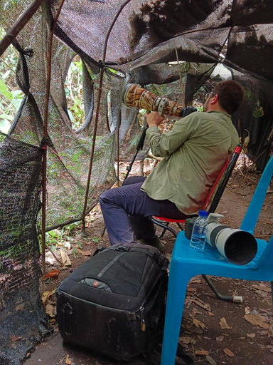 Others 2, Rangbondoi - Birdhides Included and available for birding guide, Chom Thong
