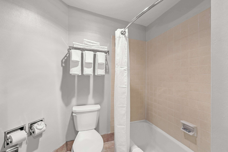 Bathroom 4, Best Western Horizon Inn, Jackson