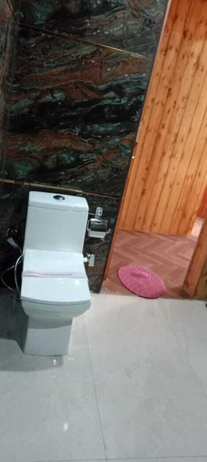 Bathroom 5, Nature Drops, Nainital
