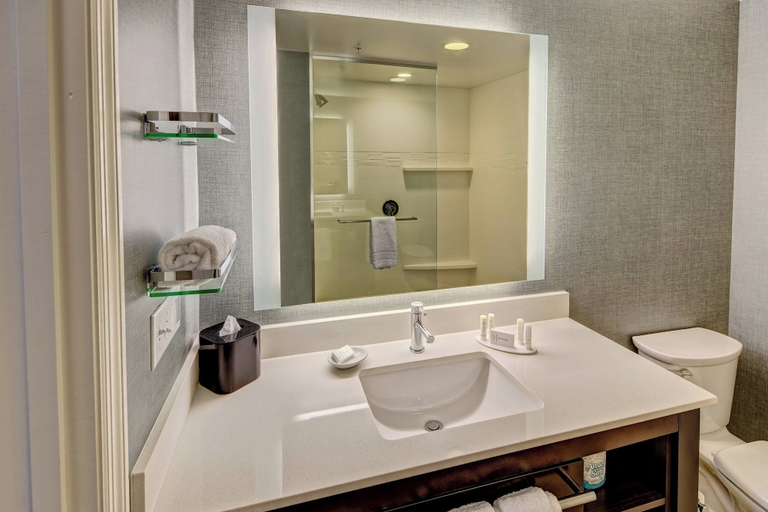 Bathroom 4, Residence Inn by Marriott Blacksburg-University, Montgomery