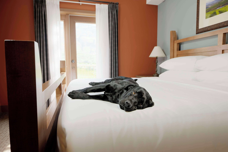 Bedroom 4, Spirit Ridge, in The Unbound Collection by Hyatt, Okanagan-Similkameen