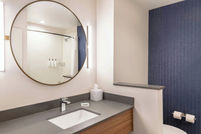 Bathroom 4, Fairfield Inn & Suites by Marriott Detroit Taylor, Wayne