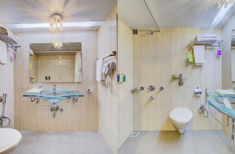 Bathroom, Ravine Hotel, Satara