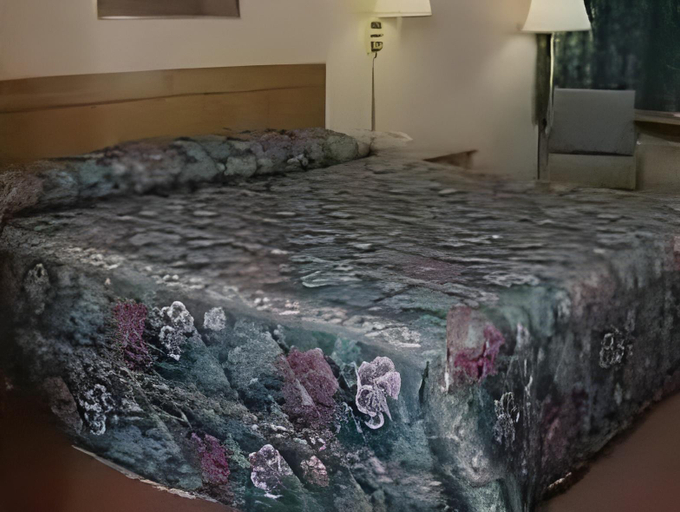 Bedroom 8