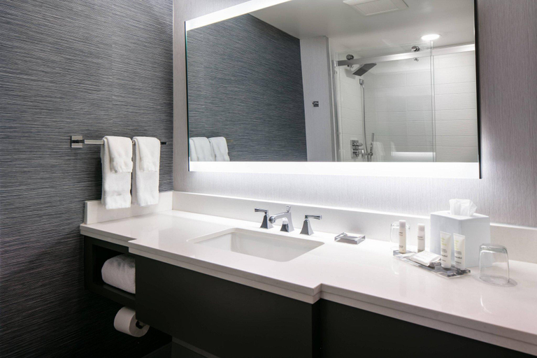 Bathroom 5, West Des Moines Marriott, Dallas