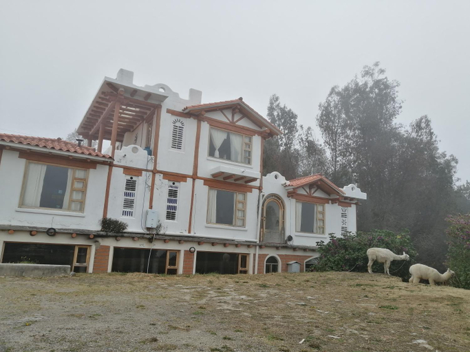 Others 5, Alpaka Quilotoa, Sigchos