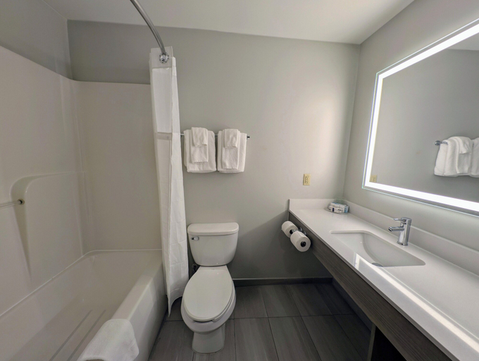 Bathroom 2, Holiday Inn Express & Suites Carbondale - University Area by IHG, Jackson