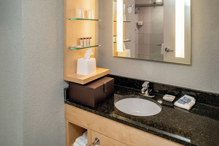 Bathroom 5, Delta Hotels by Marriott Huntington Downtown, Cabell