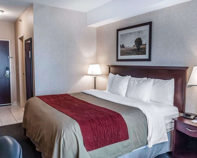Bedroom 3, Comfort Inn Mississauga, Peel