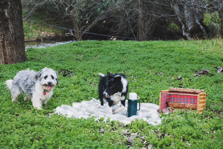 Others 3, Kingsgate Farm-Stay, Adelaide
