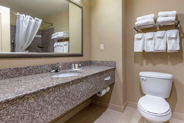 Bathroom 4, Comfort Inn & Suites High Point - Archdale, Randolph