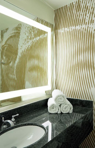 Bathroom 5, Renaissance Asheville Downtown Hotel, Buncombe