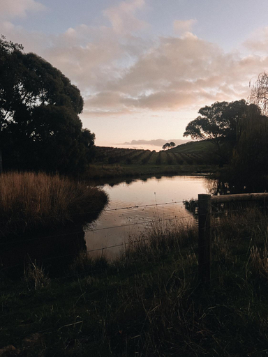 Surrounding environment