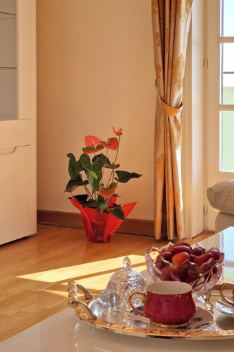 Food & Drinks, Beach Apartments Montesan