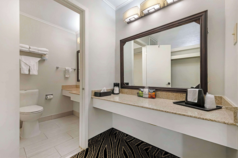 Bathroom 5, Best Western Red Carpet Inn, Deaf Smith