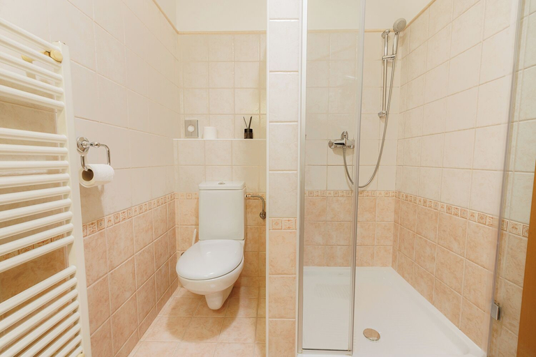Bathroom 4, Pri Žabarju Bed & Breakfast Ljubljana, Ljubljana