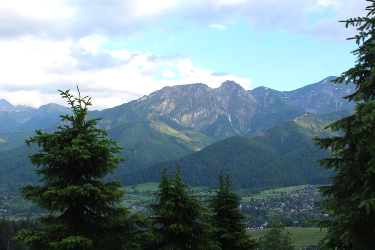 Others 4, Apartamenty Magnus na Gubalowce, Tatra
