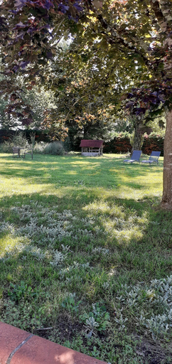 Others 4, Lou Cantou, Tarn-et-Garonne