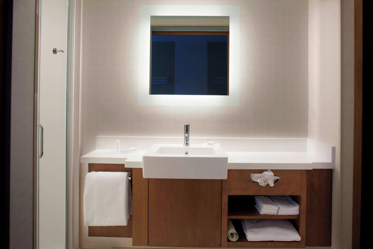 Bathroom 4, SpringHill Suites by Marriott Augusta, Richmond