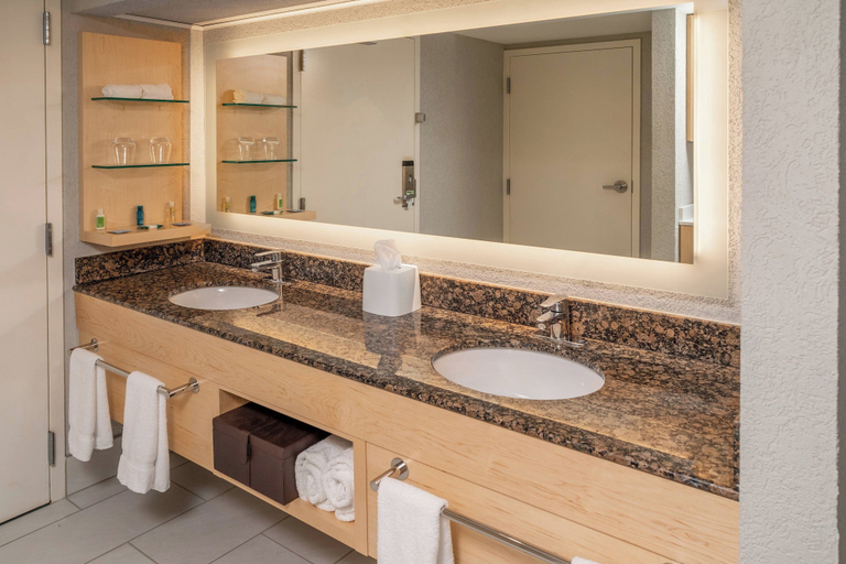 Bathroom 5, Delta Hotels by Marriott Huntington Downtown, Cabell